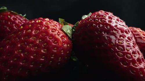 Fresh Juicy Strawberries Close Up Strawberry in Macro ProRes