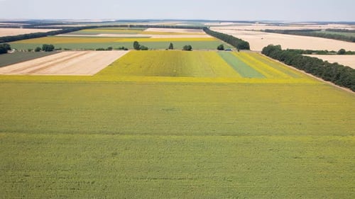 Aerial view of cultivated land and fields, Bulgaria.