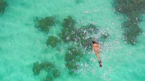 Aerial Drone Quadcopter of Young Woman Snorkeling,exploring Tropical Reef and Swimming