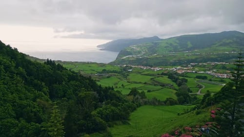 Drone Woodland Slopes Ocean Nature Gloomy Summer Day Sea Water Washing Hills