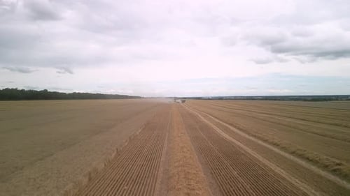 Wheat field aerial view in Ukraine