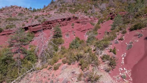 The Cians Gorge in Mercantour natural park filmed from a drone