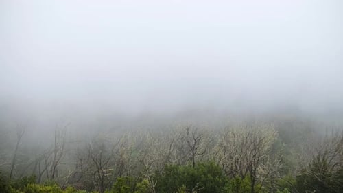 Beautiful Mountain Peak in Clouds