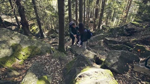 Couple Hiking on Rocky Terrain in Forest
