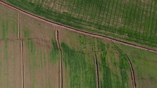 Crack in Field of Agriculture
