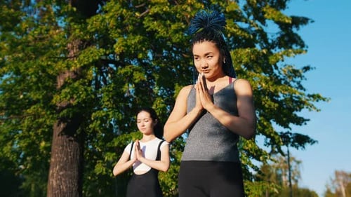 Two Young Attractive Women Doing Yoga Exercises in the Park