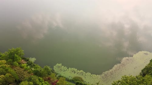 Aerial View of Tranquil Lake and Green Trees