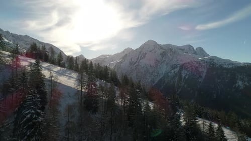 Picturesque high view over alpine ski trail in wintertime. Picturesque canopies of alpine trees. Win