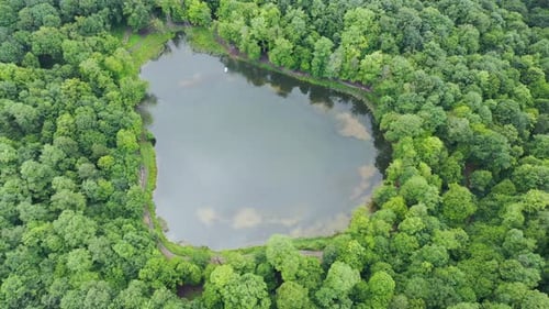 Aerial top view lake in forest. Birds eye view amazing blue lake surrounded by trees in summer time.