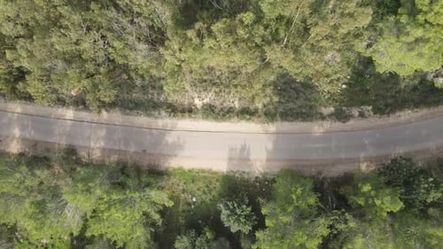 Vue aérienne vers l'avant des arbres verts dans la forêt nationale sur les collines contre le ciel - Forêt de Ben Shemen, Isra