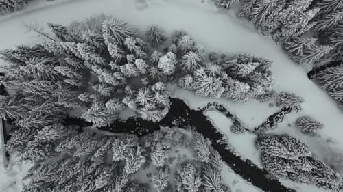Winter wonderland scenery of woodland and extreme weather, Idaho, USA