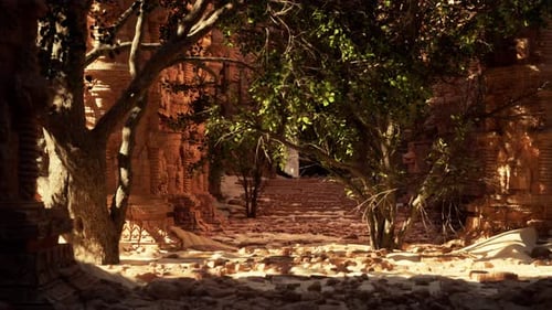 A Stone Walkway Surrounded By Trees and Rocks