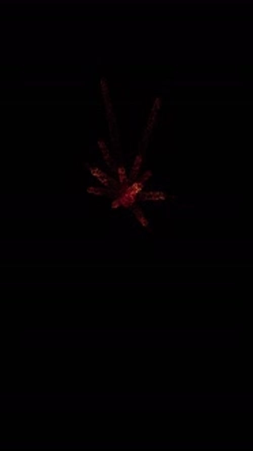 Aerial Sparks Explosion (28)