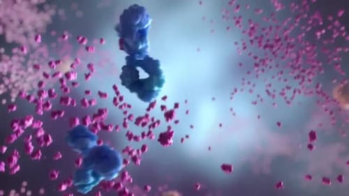 Medical Animation: Antibodies Interacting with a Cell