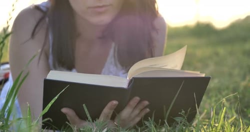 On a sunny day, a beautiful young student girl reads a book in nature (in a park, on a field) agai