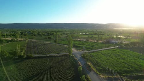 Automatic irrigation systems are used in agricultural fields