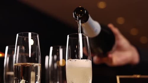 A bartender pours champagne. Close up