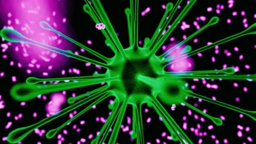 Antibodies destroying virus