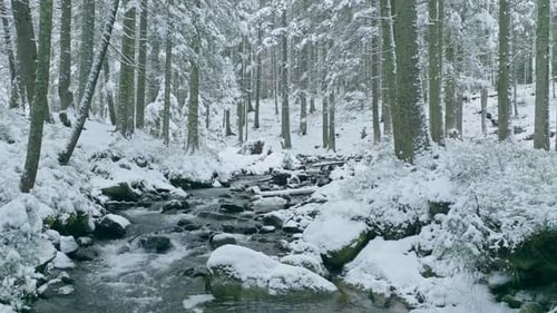 Snow River Beautiful Mountains Forest Nature Cold Winter
