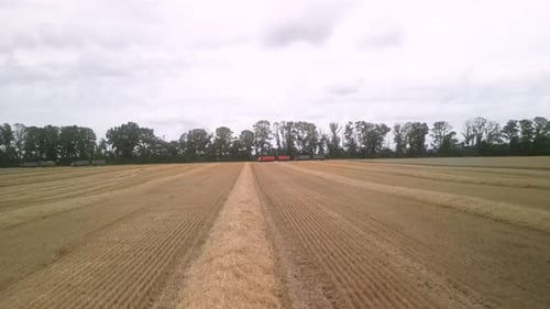 Wheat field aerial view in Ukraine