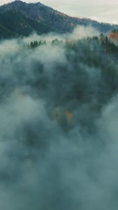 Aerial shot of Mountains and Foggy Landscape
