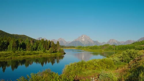 River Flows Through Tall Forest Trees Reflecting Beautiful Mountain Background Scene