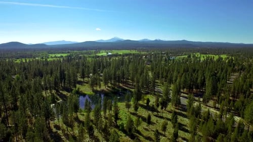 Aerial View of Oregon Forest and Mountains Under Blue Sky 4 Above