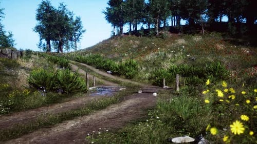 Dirt Road Through Forested Countryside at Sunset