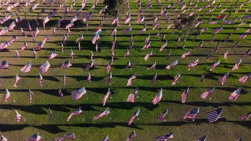Drone shot of American flags on a green field