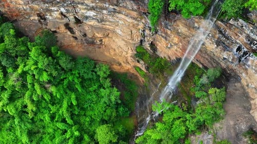 Majestic waterfall in lush forest, cascading from towering cliff.