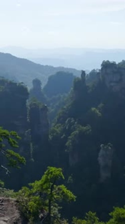 Vertical aerial flying between tall mountain peaks in Zhangjiajie park, China