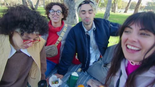 Four Friends Enjoying a Picnic in the Park