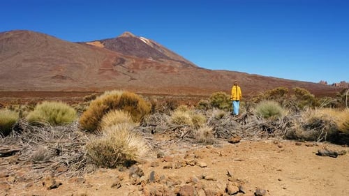 Volcano Teide National Park
