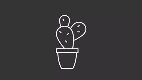 Animated cactus white line icon