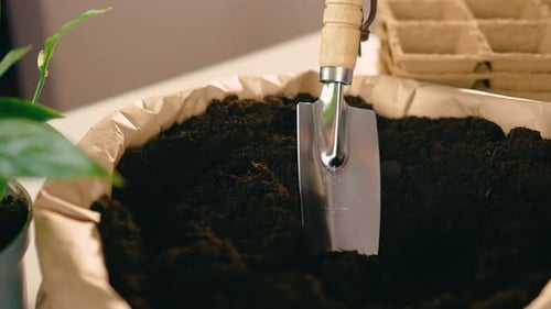 Paper Eco Bag Full of Fertility Soil with Small Garden Shovel in Loosened Ground on Room Table Close
