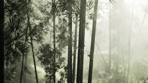 Sustainable Design Influenced By Tactile Bamboo Surface Patterns