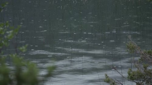 Primer plano de una lluvia ligera en un lago con la naturaleza en primer plano.