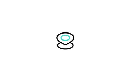 Minimalist Location Pin Icon Pointer Animated Reveal