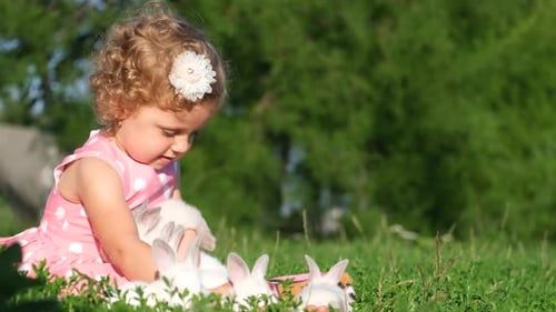 A Little Girl is Playing with a White Hare in the Garden Sitting on the Green Grass