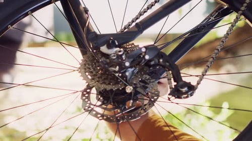 Close up of Bike Wheel Gear