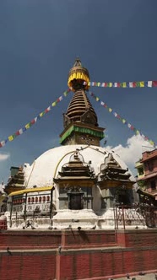 Oiseaux volant dans un temple bouddhiste au Népal à Katmandou, Vidéo verticale pour les réseaux sociaux Instagram R