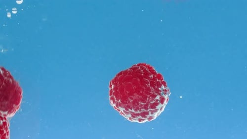 Raspberries Falling Into Clear Water
