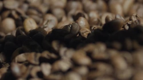 Close Up of Freshly Roasted Coffee Beans