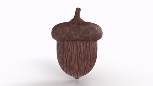 3D Spinning Textured Acorn Nature Icon Animation