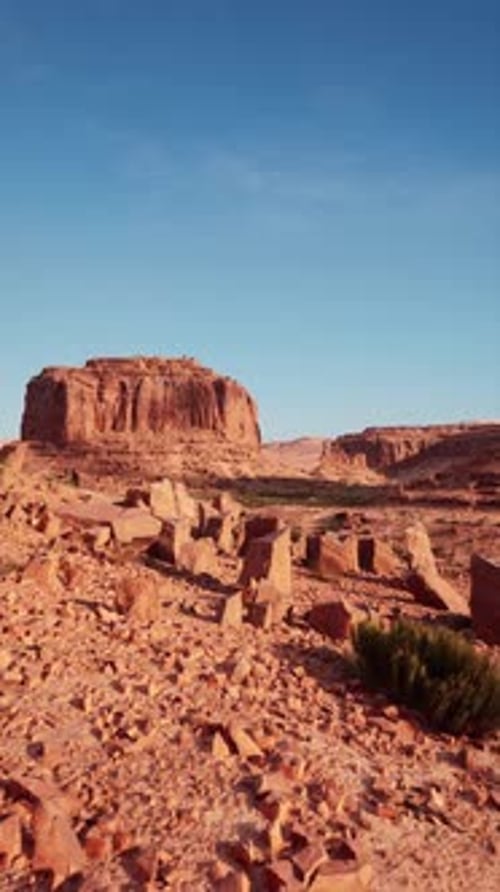 Desert Landscape With Rocks and Plants