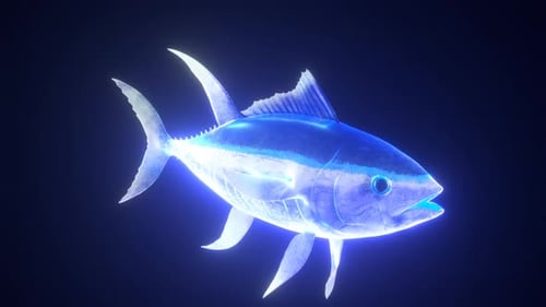 3D Holographic Neon Tuna Infinite Loop