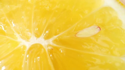 Macro Shot of a Vibrant Lemon Slice