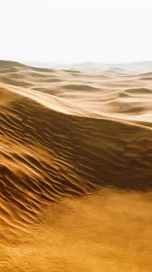 Empty Quarter Desert Dunes at Liwa
