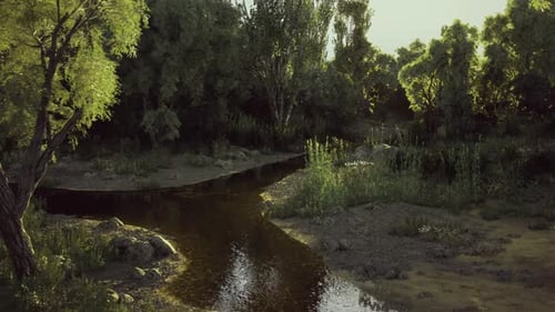 Peaceful Forest Stream Flowing Through Green Nature
