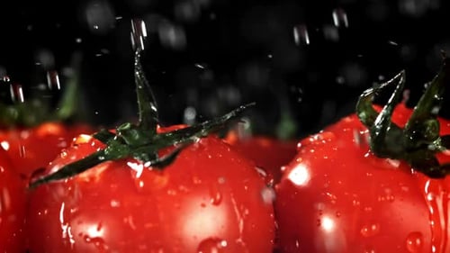 Water Droplets Fall on the Tomatoes Filmed on a Highspeed Camera at 1000 Fps